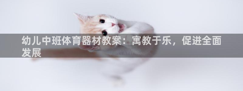 极悦平台注册申请流程详解视频：幼儿中班体育器材教案：