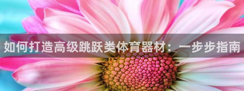 加盟极悦教育要多少钱：如何打造高级跳跃类体育器材：一