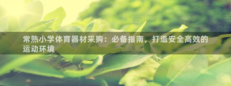 极悦平台官方网站登录：常熟小学体育器材采购：必备指南