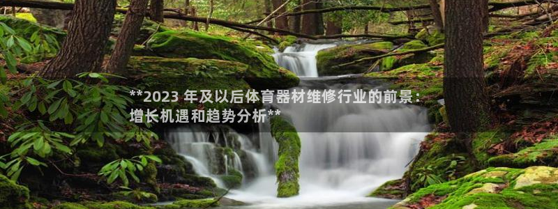 极悦官方网站app下载：**2023 年及以后体育器