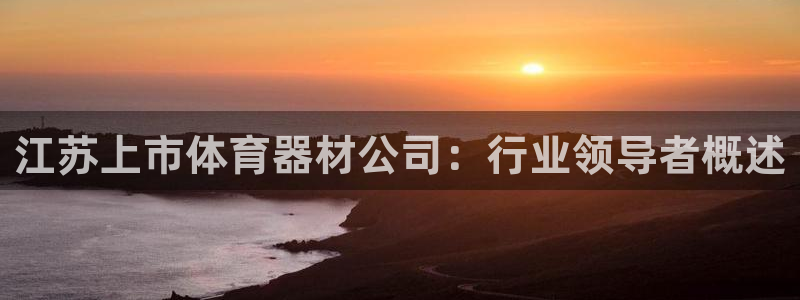 极悦平台代理怎么做赚钱：江苏上市体育器材公司：行业领