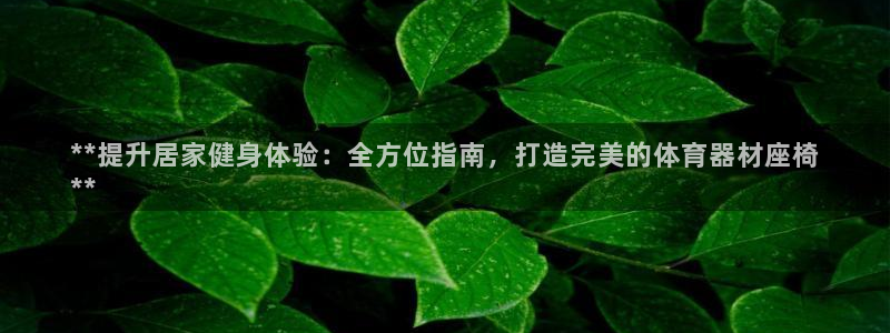 石家庄极悦空间设计有限公司：**提升居家健身体验：全