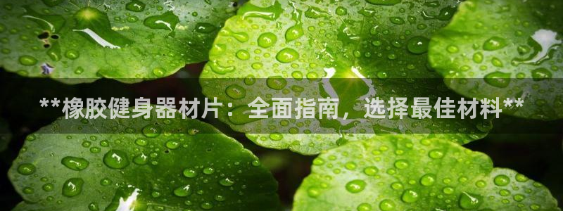 极悦平台反7O777：**橡胶健身器材片：全面指南，