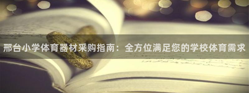 深圳极悦文化传媒有限公司：邢台小学体育器材采购指南：