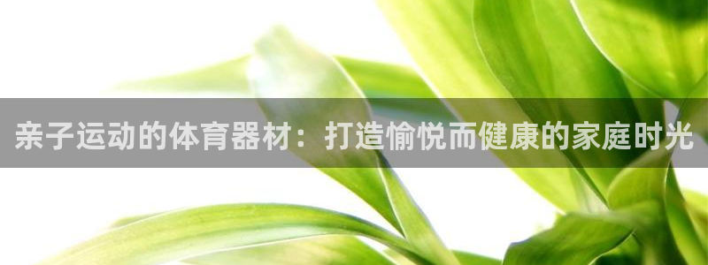极悦平台官方网站登录不了：亲子运动的体育器材：打造愉