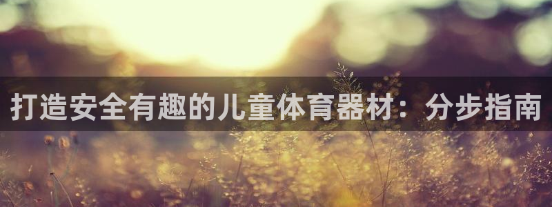 极悦平台注册用户名验证不了：打造安全有趣的儿童体育器