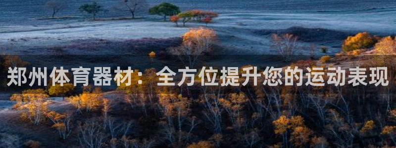极悦平台官方网址是多少：郑州体育器材：全方位提升您的