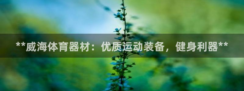 极悦注册：**威海体育器材：优质运动装备，健身利器*