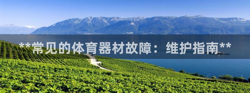 极悦平台注册太7.0.2.4好用吗：**常见的体育器