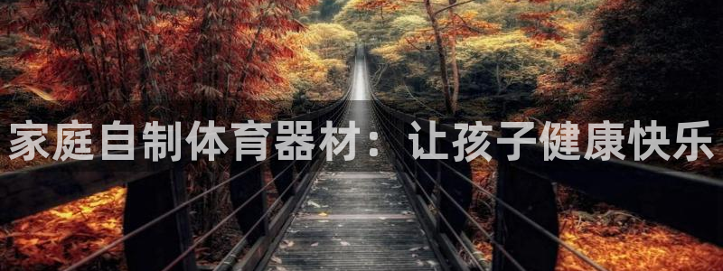 极悦娱乐代理多少钱一年：家庭自制体育器材：让孩子健康