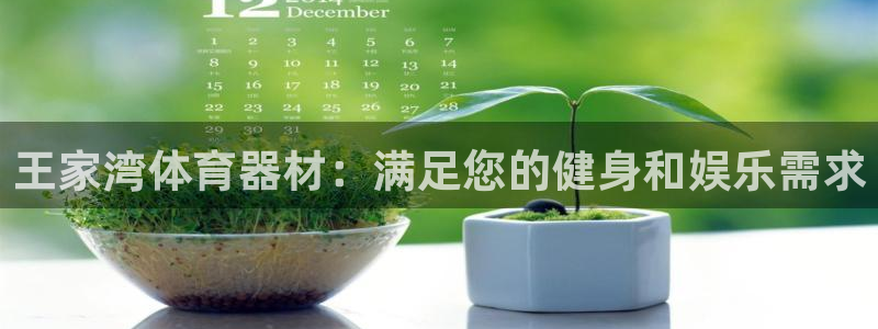 极悦平台官方网站下载：王家湾体育器材：满足您的健身和