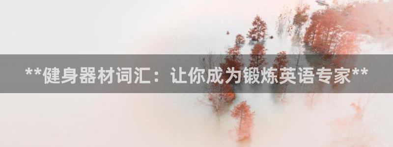 极悦平台客服的联系方式是：**健身器材词汇：让你成为