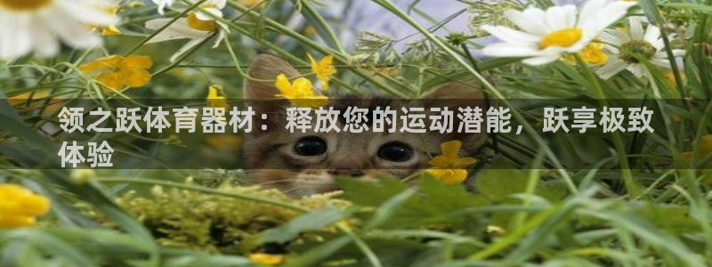 极悦平台用户评价与反馈怎么设置：领之跃体育器材：释放