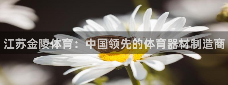 极悦平台注册用户名生成器下载：江苏金陵体育：中国领先