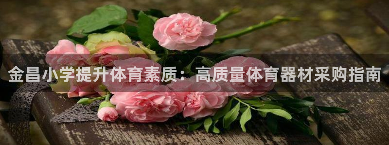 极悦娱乐官网客服联系方式是什么：金昌小学提升体育素质