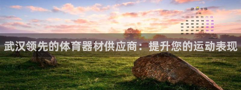 极悦平台平台注册方法与步骤视频：武汉领先的体育器材供