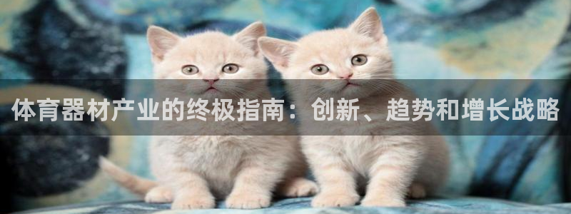 极悦平台和蓝狮平台区别在哪：体育器材产业的终极指南：