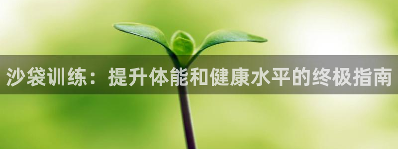 极悦娱乐贴吧：沙袋训练：提升体能和健康水平的终极指南