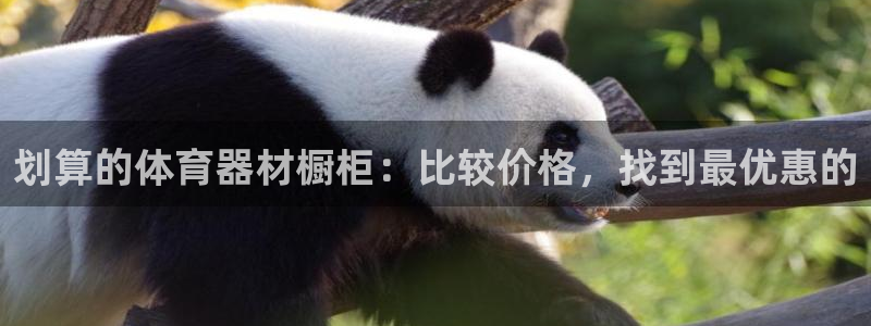 极悦娱乐游戏安全吗：划算的体育器材橱柜：比较价格，找