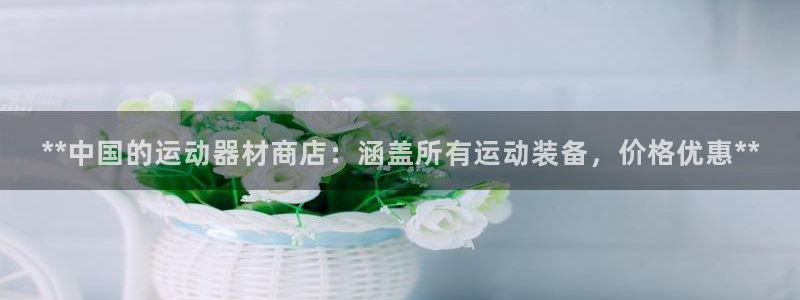 极悦娱乐官网入口网址：**中国的运动器材商店：涵盖所