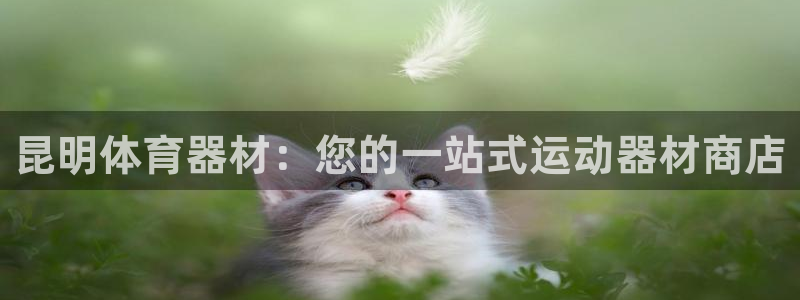 极悦平台官网登录网址查询：昆明体育器材：您的一站式运