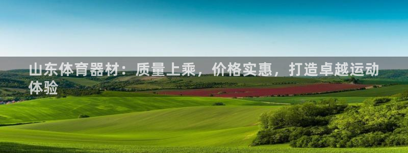 极悦平台是干嘛的：山东体育器材：质量上乘，价格实惠，