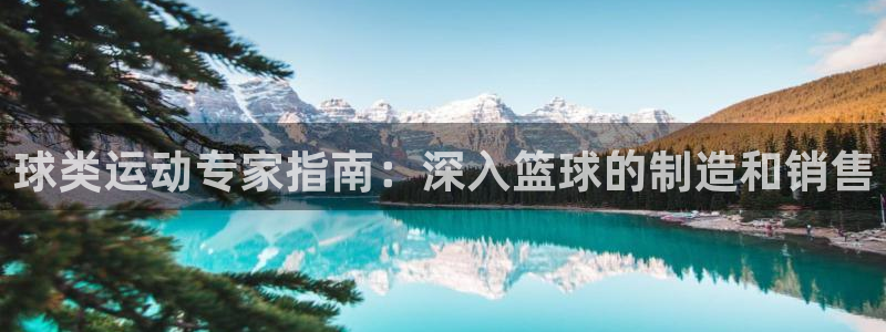 极悦娱乐登录拒绝访问怎么办：球类运动专家指南：深入篮