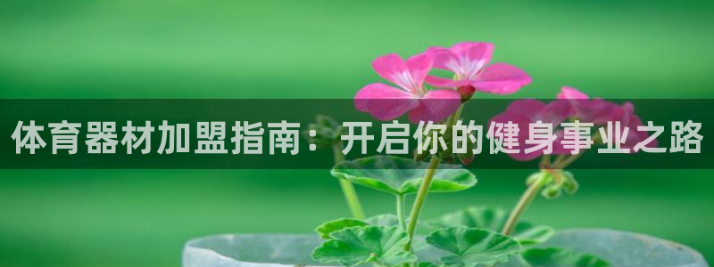 极悦平台下载安装：体育器材加盟指南：开启你的健身事业