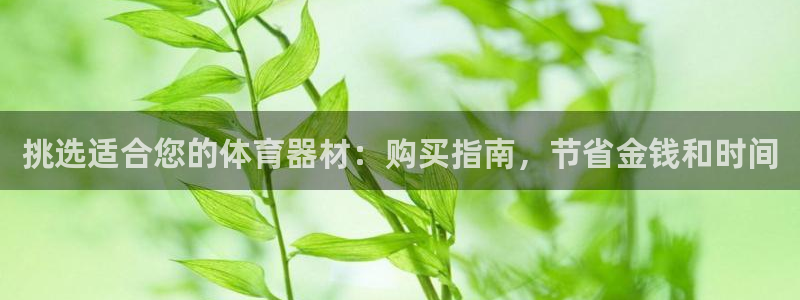 极悦平台告7O777：挑选适合您的体育器材：购买指南