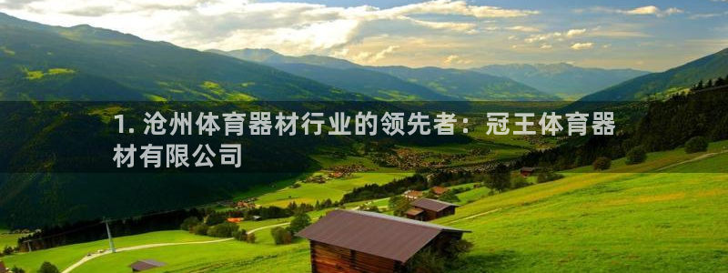 极悦平台注册失败如何解决问题：1. 沧州体育器材行业