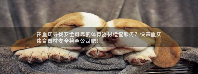 极悦娱乐的创始人背景故事简介：在重庆寻找安全可靠的体