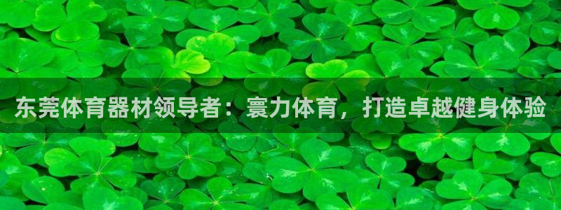 极悦平台官方网站入口链接下载：东莞体育器材领导者：寰