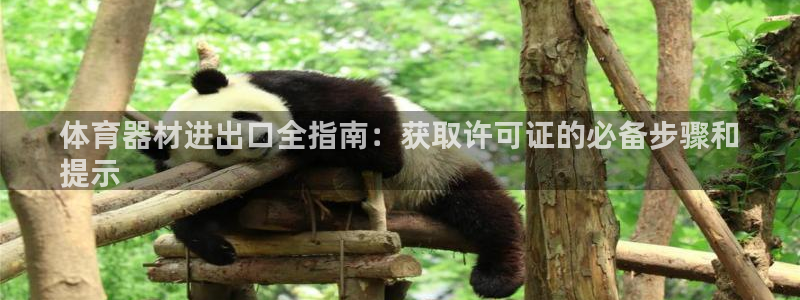 极悦娱乐官方网站入口：体育器材进出口全指南：获取许可