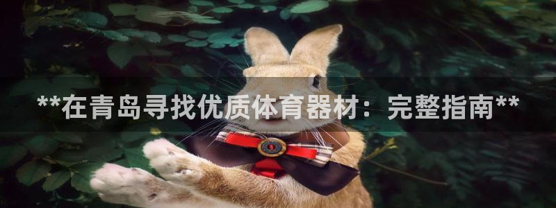 极悦平台注册失败如何解决问题：**在青岛寻找优质体育