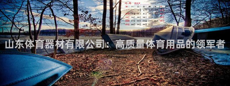 极悦娱乐登录拒绝访问怎么办：山东体育器材有限公司：高