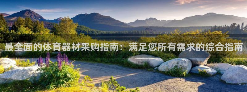 极悦平台登录最新版本更新内容怎么删除：最全面的体育器