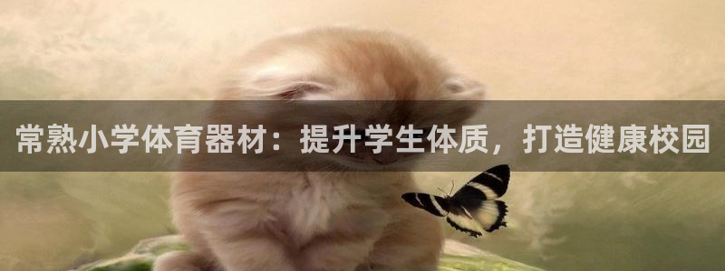 极悦平台官网登录入口网址是什么：常熟小学体育器材：提