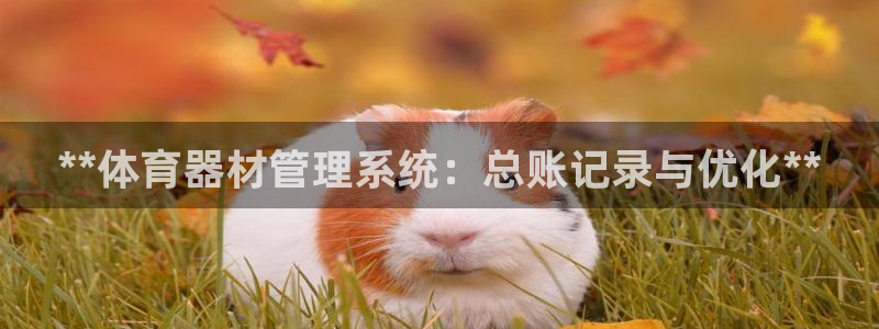 极悦官网首页登录入口网站：**体育器材管理系统：总账