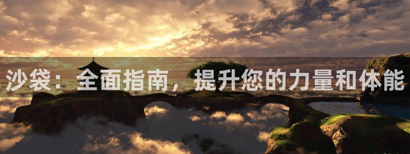 极悦平台客服投诉电话是多少号码：沙袋：全面指南，提升