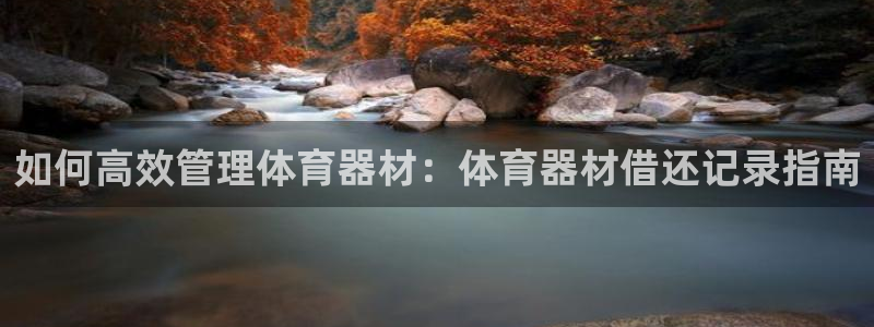 极悦平台代理怎么做的：如何高效管理体育器材：体育器材
