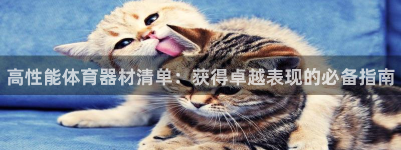 极悦娱乐代理怎么样可靠吗：高性能体育器材清单：获得卓