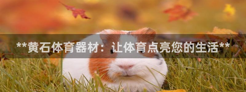 极悦平台官网登录网址是什么：**黄石体育器材：让体育