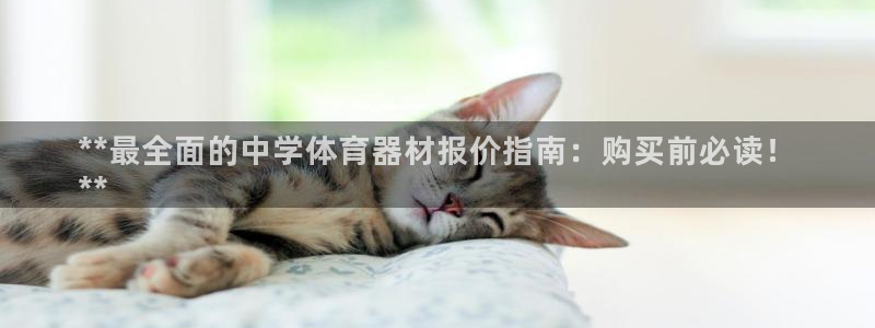 极悦平台代理怎么样可靠吗：**最全面的中学体育器材报