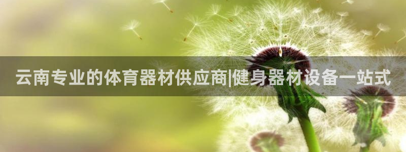 极悦官网首页登录入口：云南专业的体育器材供应商|健身