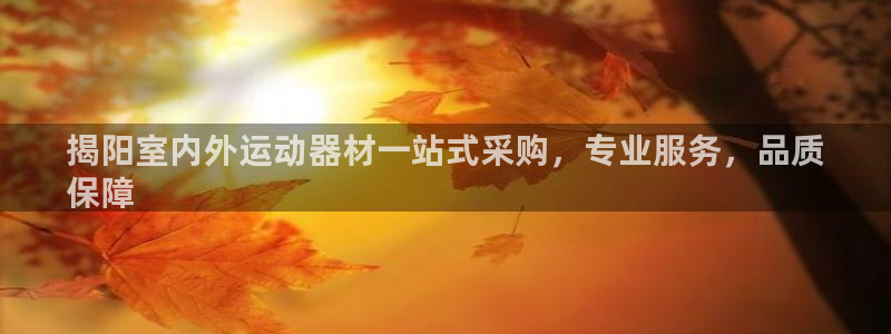 极悦平台平台注册方法与步骤是什么：揭阳室内外运动器材