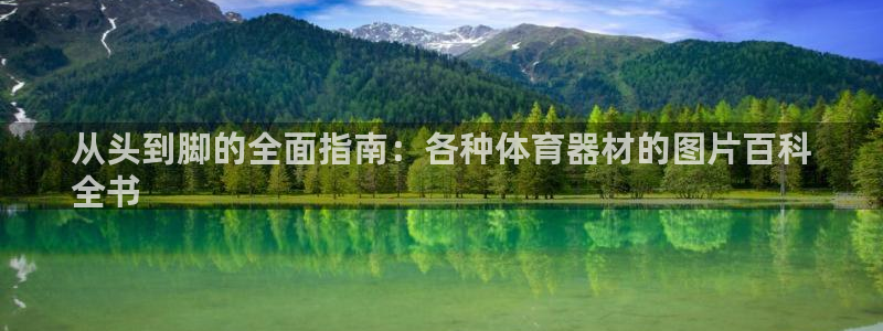 极悦平台有风险吗安全吗：从头到脚的全面指南：各种体育