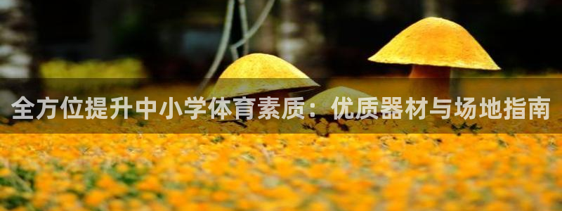 极悦娱乐德711.112扣费说明：全方位提升中小学体