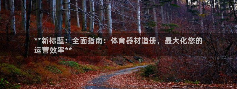 极悦娱乐分7O777：**新标题：全面指南：体育器材