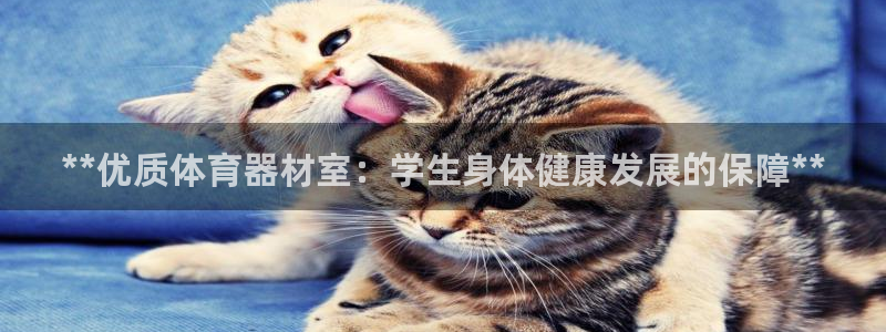 极悦平台登录入口注册账号：**优质体育器材室：学生身