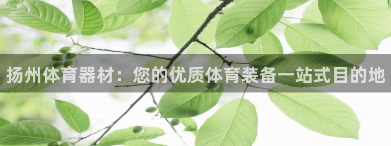 极悦官网的登录方法有哪些：扬州体育器材：您的优质体育